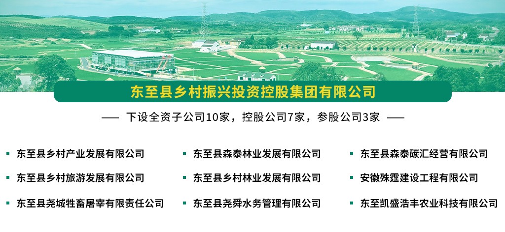 集团旗下全资子公司简介