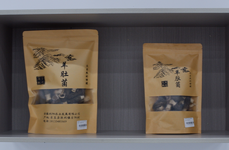 羊肚菌