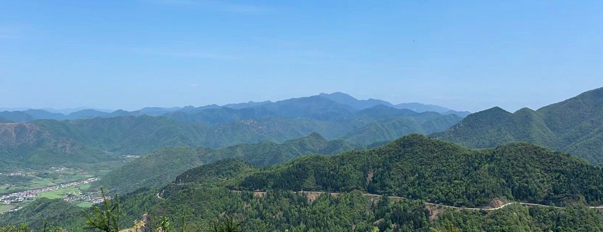 东至县国家储备林项目